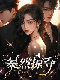 暴烈掠奪